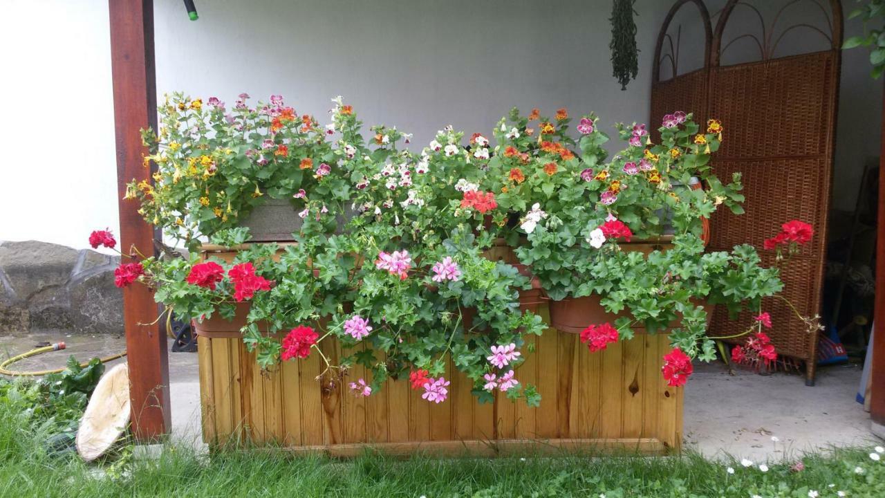 Borova House Otel Tryavna Dış mekan fotoğraf